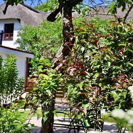 Tolle In Einem Reetgedeckten Haus *