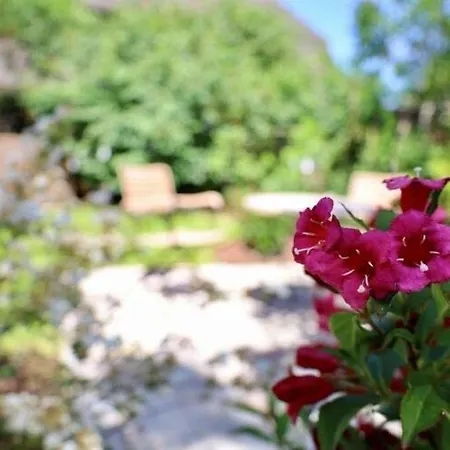 Tolle In Einem Reetgedeckten Haus Nieblum