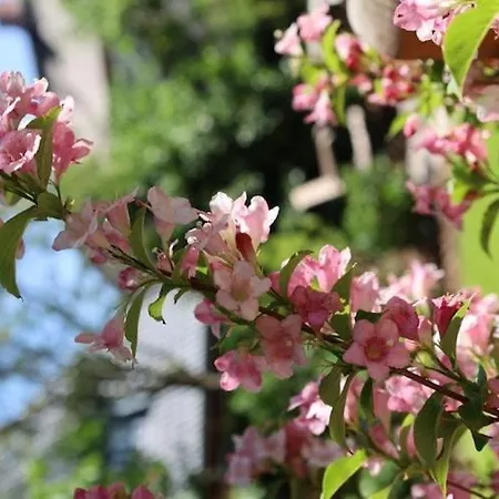 Tolle In Einem Reetgedeckten Haus * Nieblum