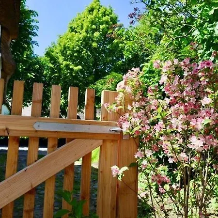 Tolle In Einem Reetgedeckten Haus