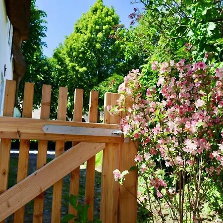 Tolle In Einem Reetgedeckten Haus Niblum