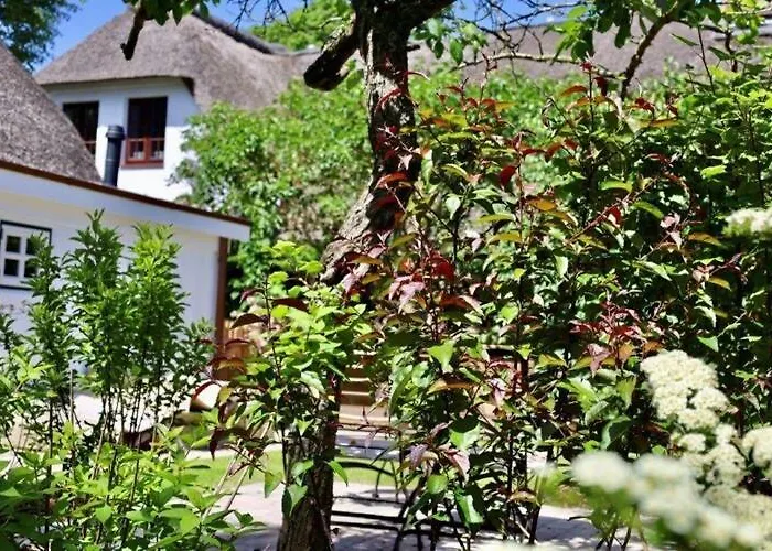 Tolle In Einem Reetgedeckten Haus *